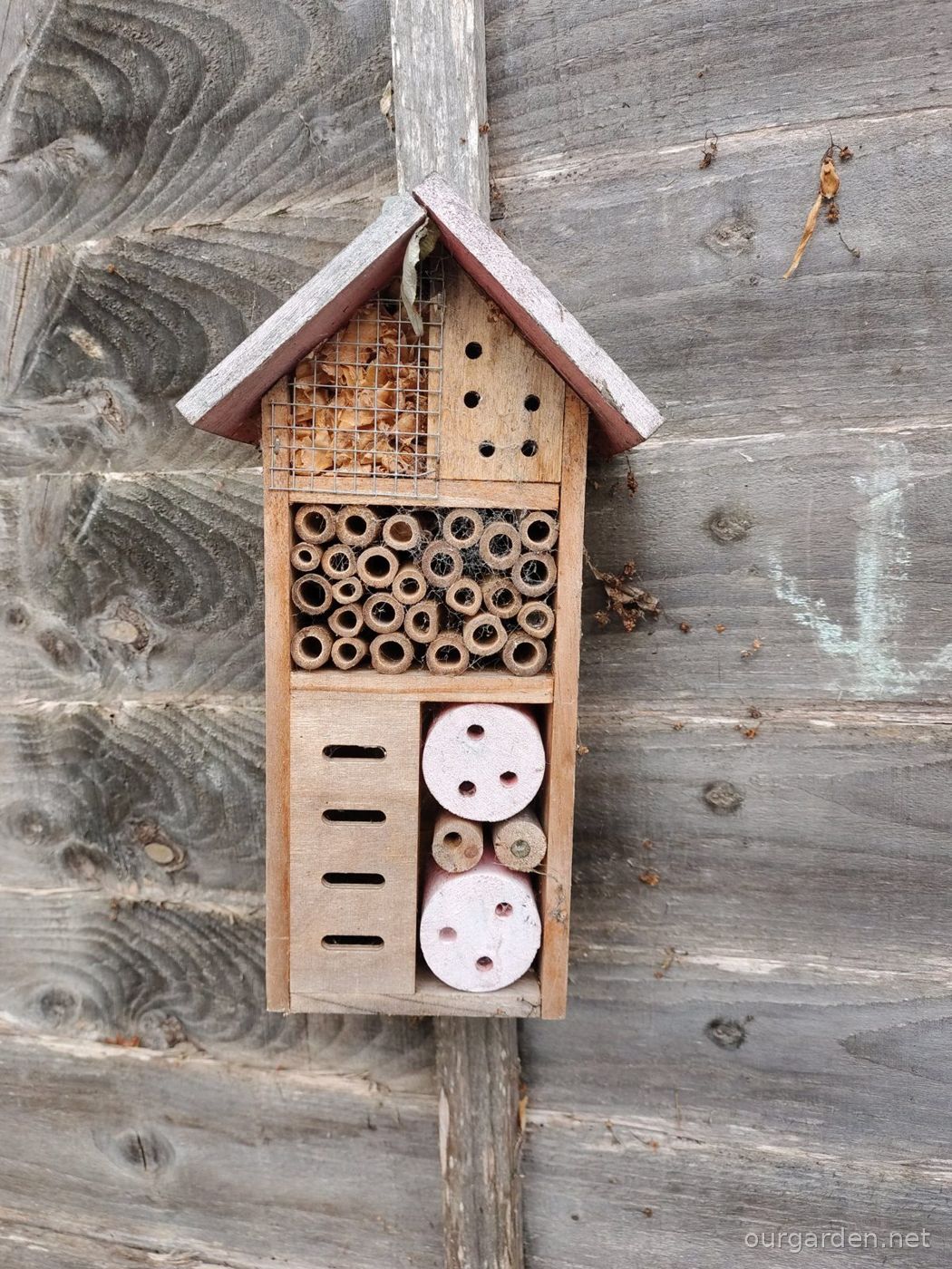 Bug hotel (shop-bought)