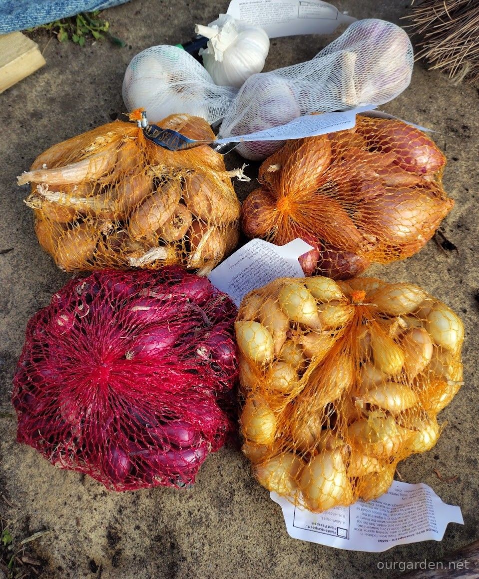 The collection, still in its nets