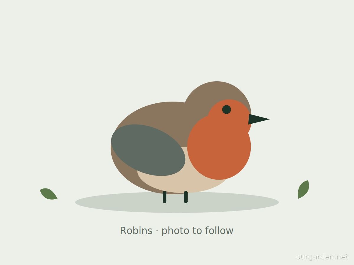 Robins