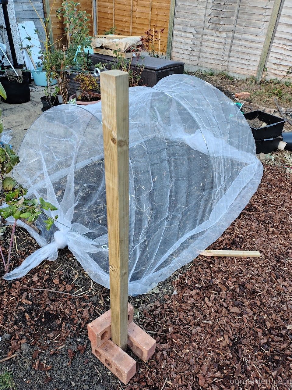 Proper netting on the allium bed