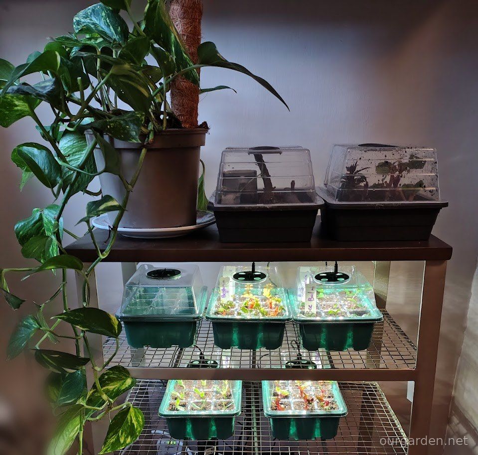 The Propagatrix