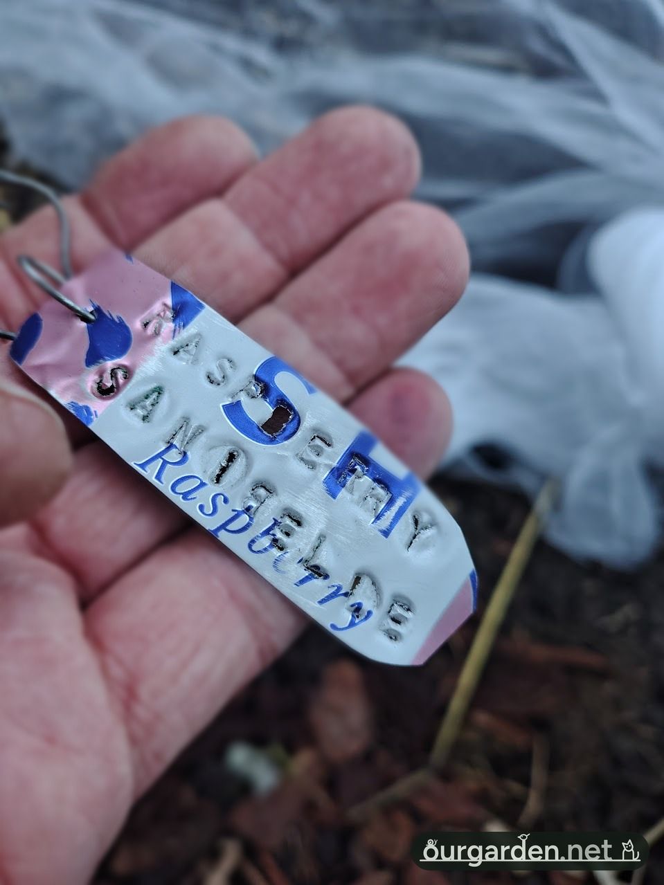 Tags, formerly cans