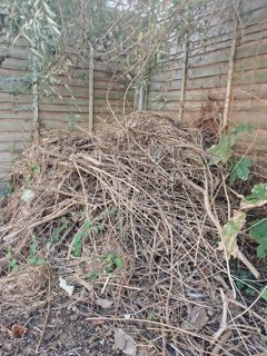 The brash pile