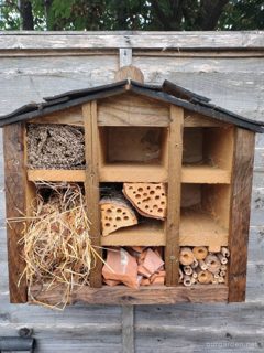 Bug hotel (homemade)